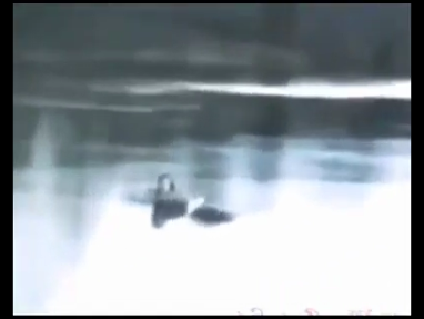 100% Real Mermaid Sighting - Real Mermaid Caught on Film | Paranormal